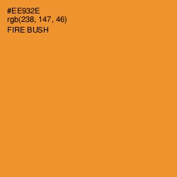 #EE932E - Fire Bush Color Image
